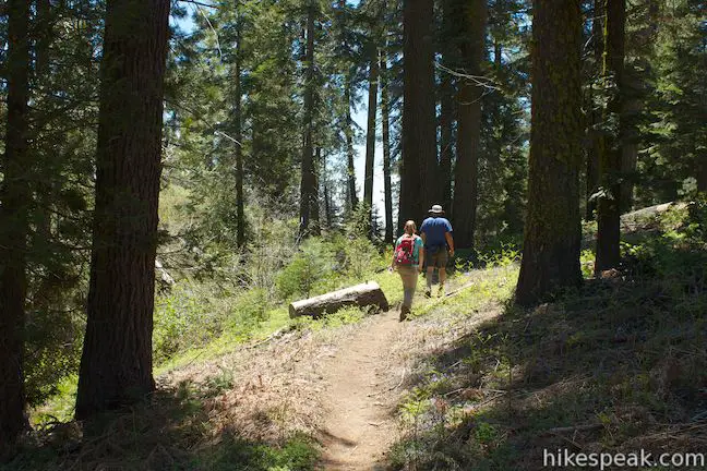 Sugar Pine Trail