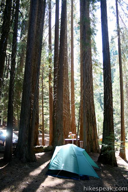 Negen Nederigheid Beurs Sequoia and Kings Canyon Campgrounds | Hikespeak.com