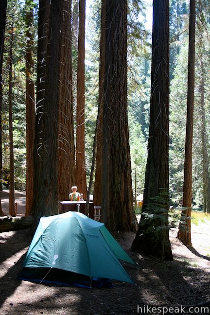 Mineral King Campgrounds Sequoia Hikespeak com