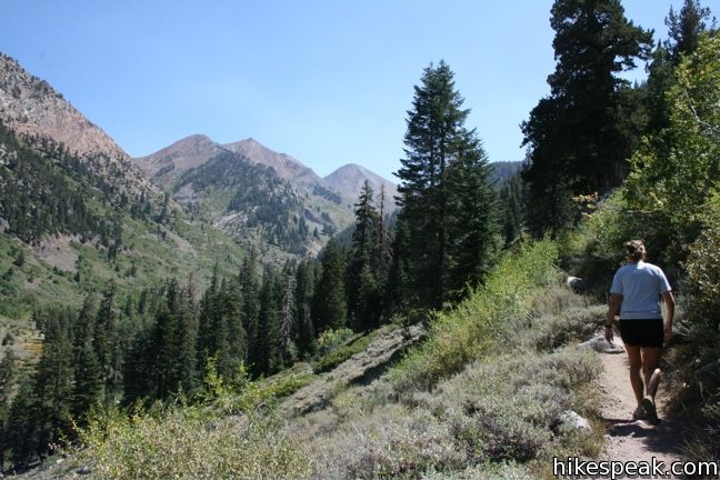 Eagle Lake Trail Sequoia