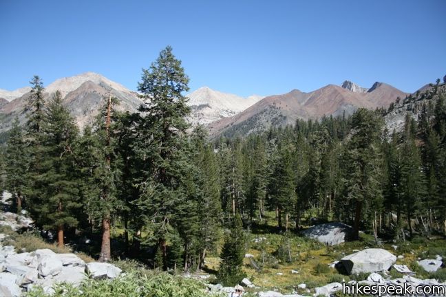 Eagle Lake Trail Sequoia