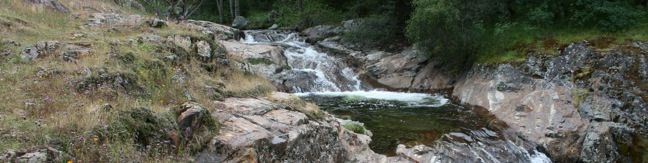 Paradise Creek Sequoia National Park hiking trail near Buckeye Flat Campground swimming hole