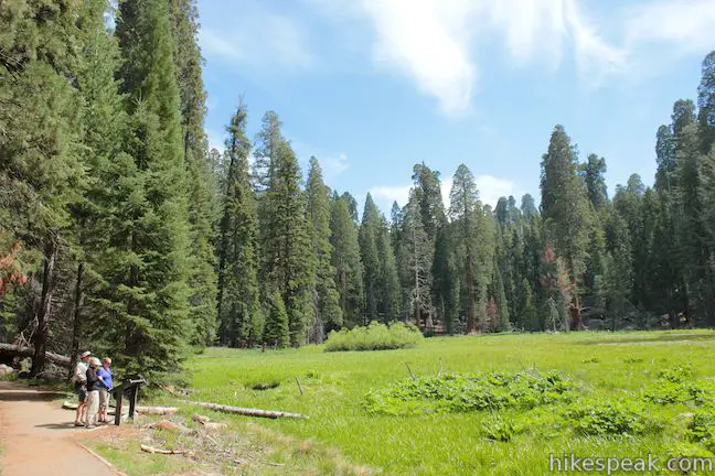 Round Meadow in Sequoia National Park