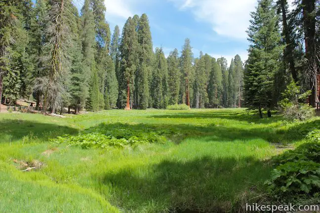 Round Meadow Sequoia National Park