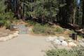 Big Trees Trail Sequoia National Park hike