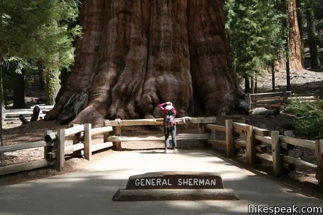 This paved 1-mile hike visits the world's biggest tree, a landmark within the Giant Forest in Sequoia National Park.