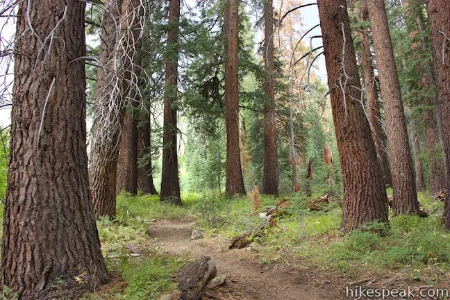 High Trail Agnew Meadows