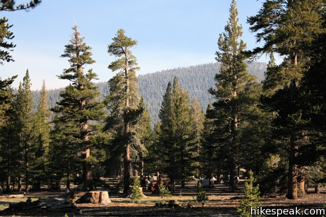 Cottonwood Pass Campground