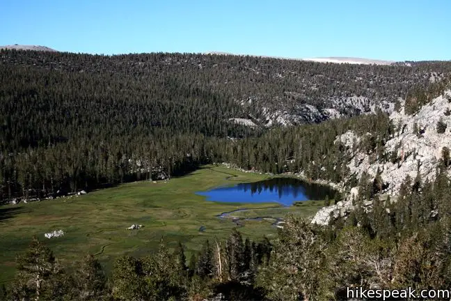 Rock Creek Meadow