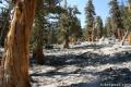 South Fork Cottonwood Lakes