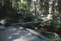 South Fork Cottonwood Lakes