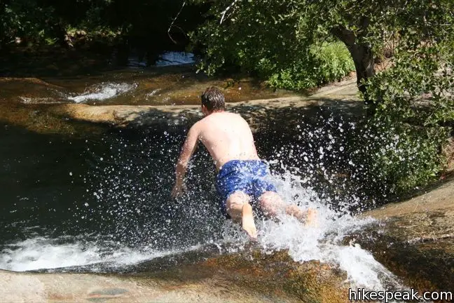 Sequoia Water Slide