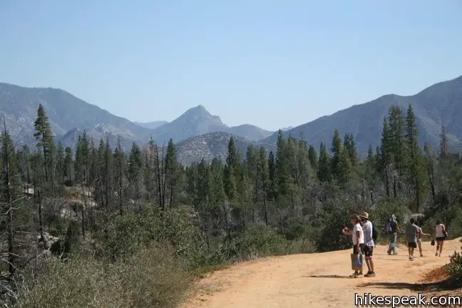 Sequoia Water Slide