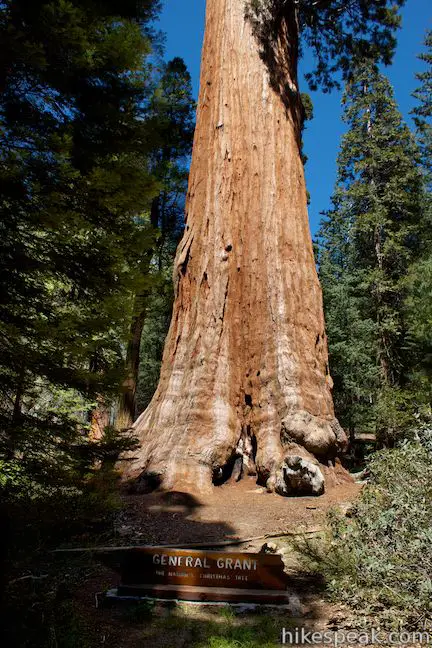 Grant Grove General Grant Tree Kings Canyon