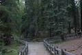 Grant Grove Trail