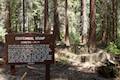 Centennial Stump General Grant Tree Trail