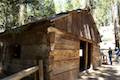 Gamlin Cabin General Grant Tree Trail