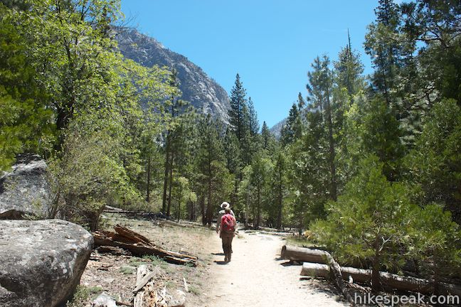 kings canyon loop trail