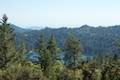Dead Giant Loop Trail Sequoia Lake Overlook Kings Canyon