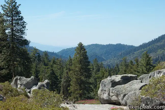 Redwood Canyon view Hart Tree Trail