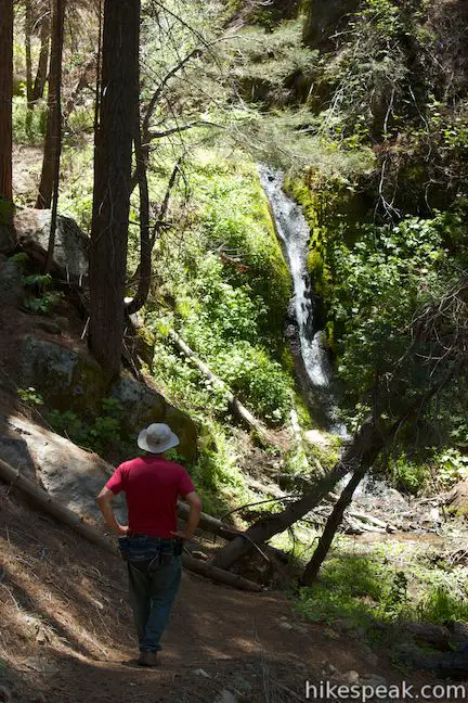 Hart Tree Trail Waterfall