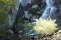 Grizzly Falls in Sequoia National Forest