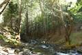 Grizzly Falls in Sequoia National Forest