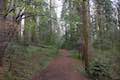 Nelder Grove Hiking Trail