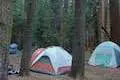 Nelder Grove Campground