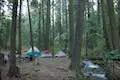 Nelder Grove Campground Sierra National Forest