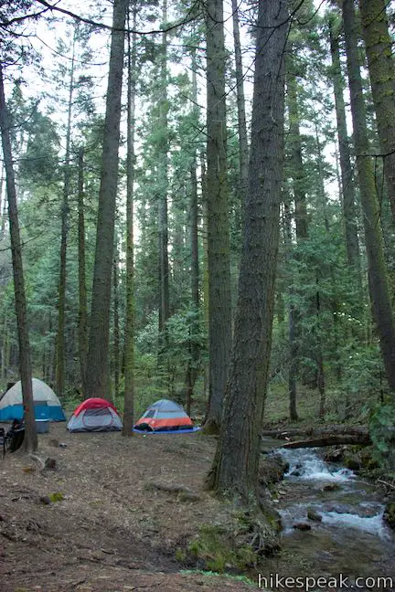 Nelder Grove Campground Shasta-Trinity National Forest