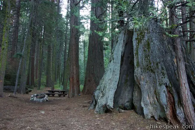 Nelder Grove Campground Shasta-Trinity National Forest