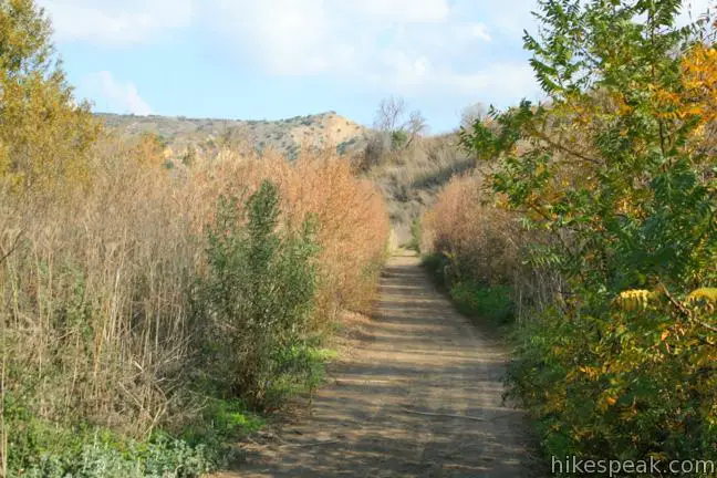 Carbon Canyon Nature Trail