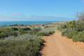 Crystal Cove State Park No Name Ridge Trail