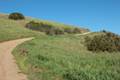 Crystal Cove State Park No Name Ridge Trail