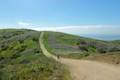 Crystal Cove State Park No Name Ridge Trail