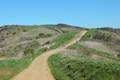 Crystal Cove State Park No Name Ridge Trail