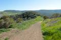 Crystal Cove State Park West Cut Across Trail