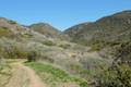 Crystal Cove State Park Rattlesnake Trail