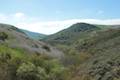 Crystal Cove State Park Rattlesnake Trail