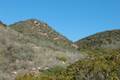 Crystal Cove State Park Rattlesnake Trail