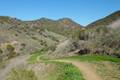 Crystal Cove State Park Rattlesnake Trail