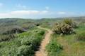 Crystal Cove State Park Rattlesnake Trail