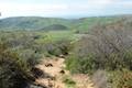 Crystal Cove State Park Rattlesnake Trail