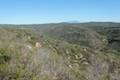 Crystal Cove State Park Rattlesnake Trail