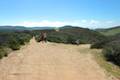 Crystal Cove State Park Rattlesnake Trail