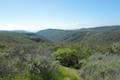 Crystal Cove State Park Fenceline Trail