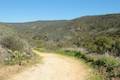 Crystal Cove State Park Slow N East Trail