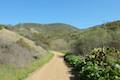 Crystal Cove State Park Moro Canyon Road