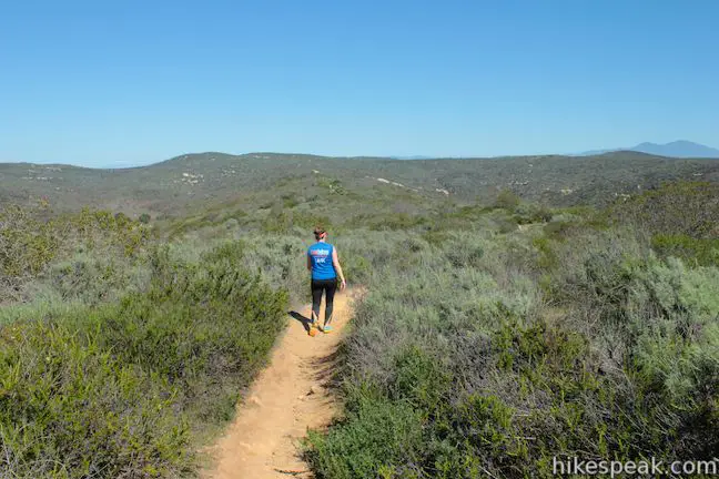 Crystal Cove Hiking